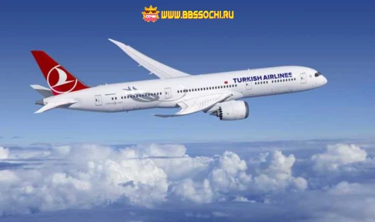 Turkish Airlines сообщила о приостановке рейсов в Сочи до 31 мая 2022 года