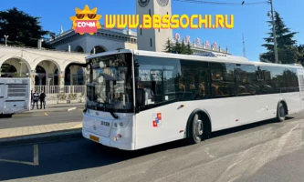 В Сочи запустили круглосуточные автобусы до аэропорта Адлер