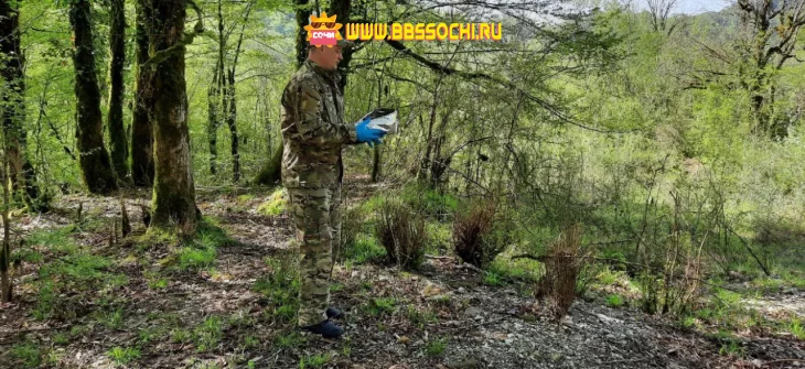 В лесах Сочи спрятали брикеты с вакцинами от бешенства