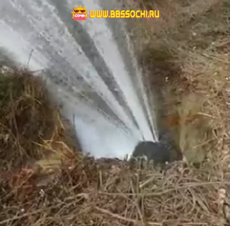 Новая подвижка грунта вызвала еще один прорыв водопровода в Дагомысе